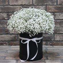 Цветочная композиция из Гипсофила в шляпной коробке #REPLACE_PRED# Реж
