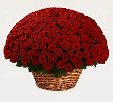 Премиум букет из: Розы в Реж